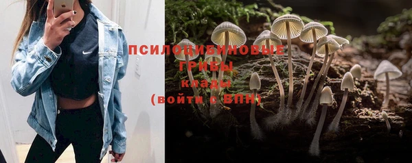 наркотики Алексин
