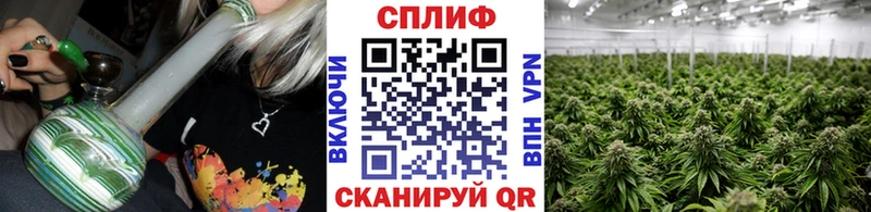 даркнет сайт  Олонец  Конопля THC 21% 